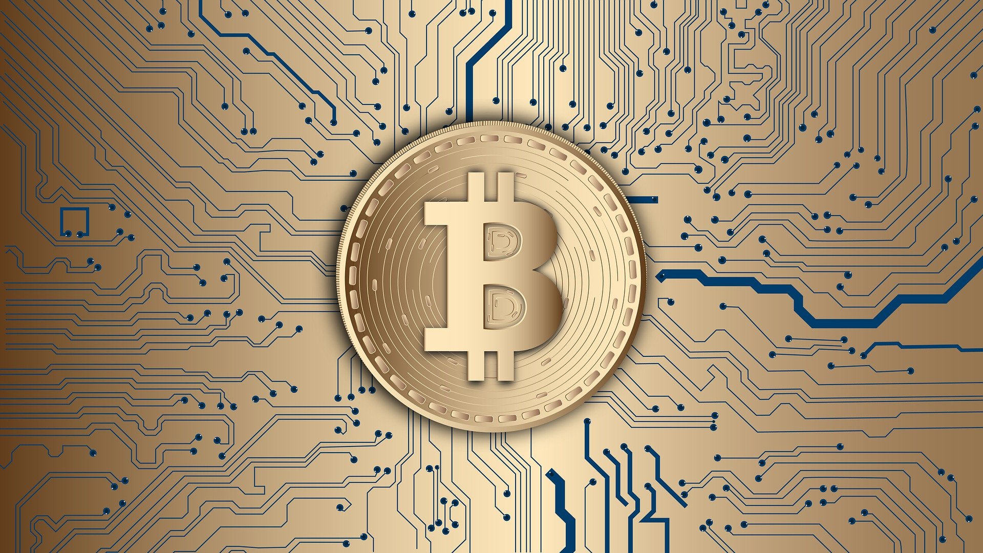 Should nonprofits accept Bitcoin for donations?