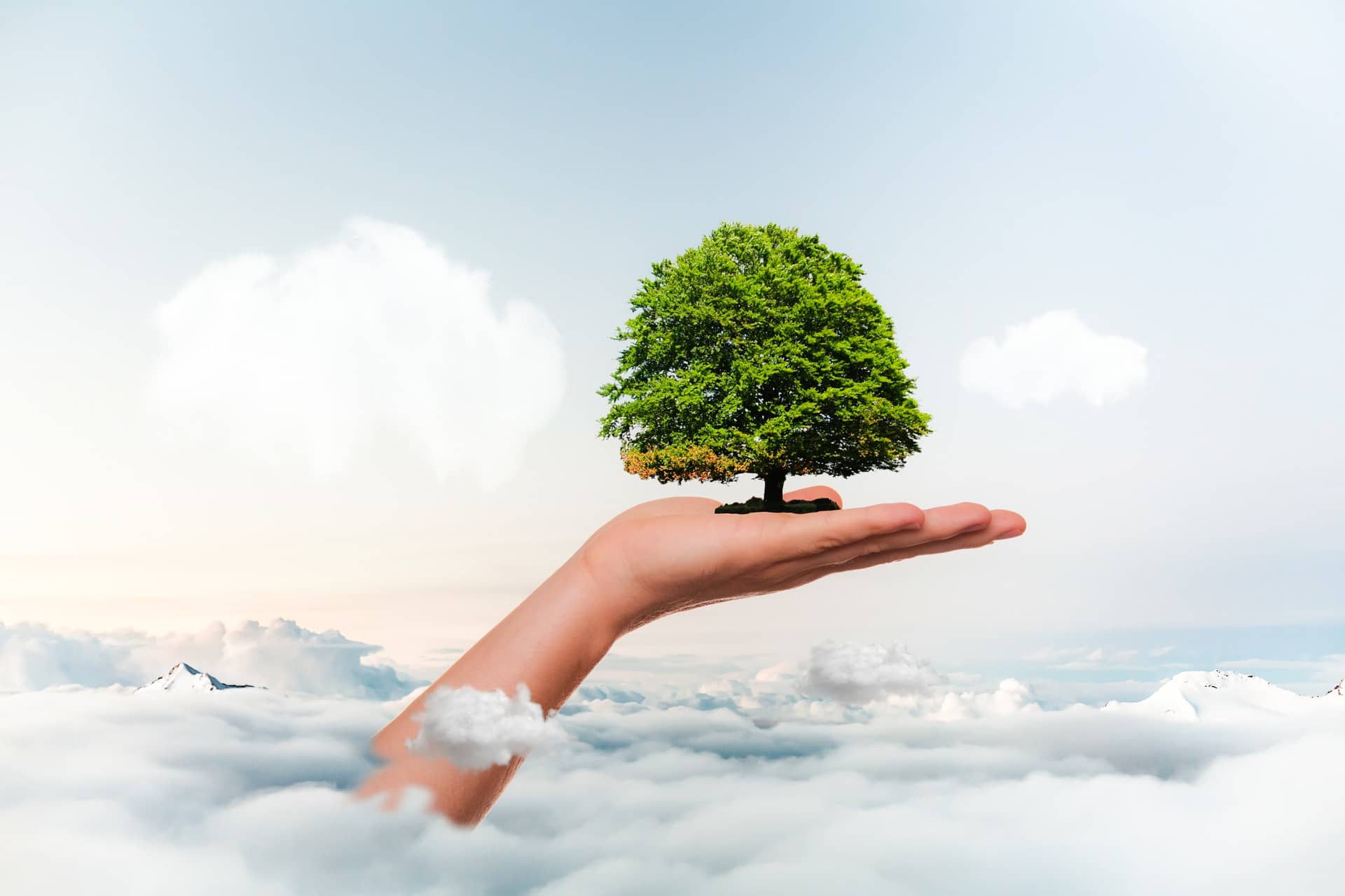 Benefits of going paperless for nonprofits